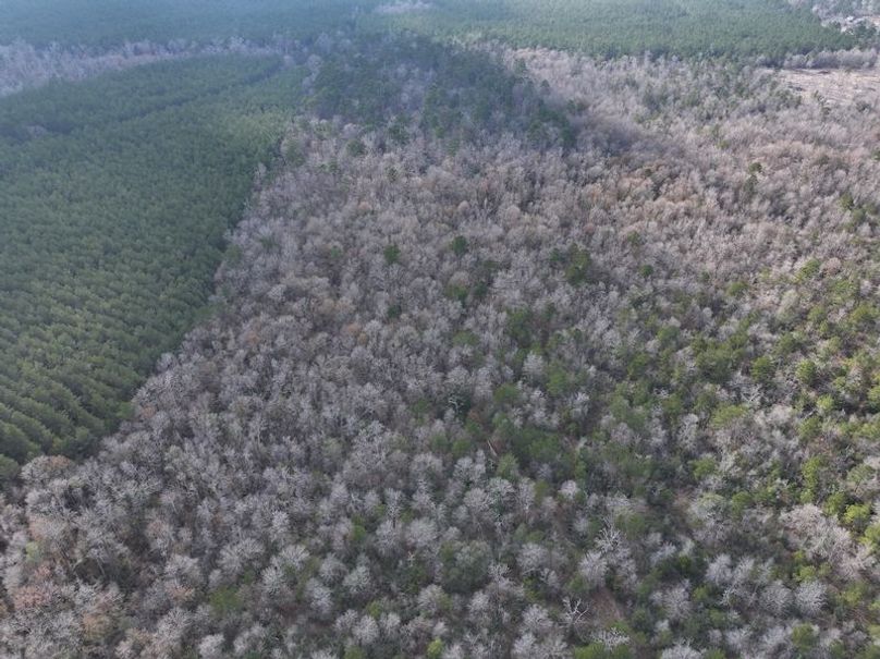 dji_fly_20260212_140944_0062_1771284241352_photo