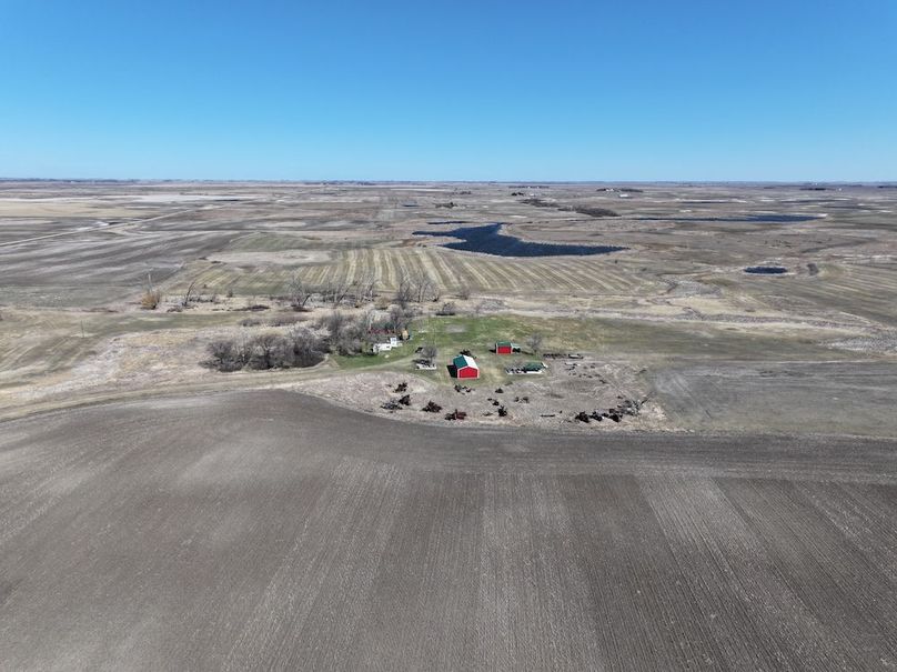 DJI_20240423113303_0033_D