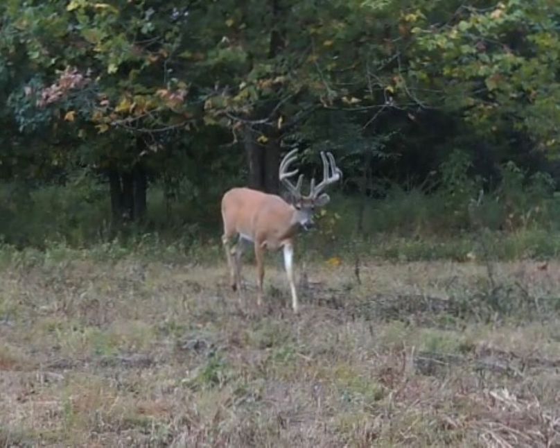 Screenshot_20240820_184041_Gallery