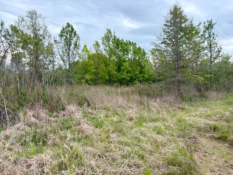 01D348A7-CA7C-43A7-B341-00308BAC7DBD_1_105_c