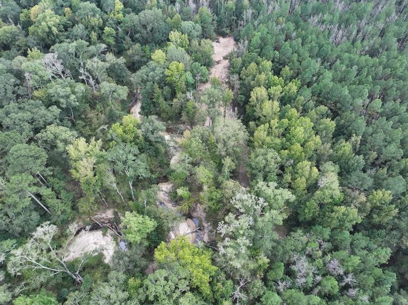 dji_fly_20251001_154812_0645_1759492680989_photo