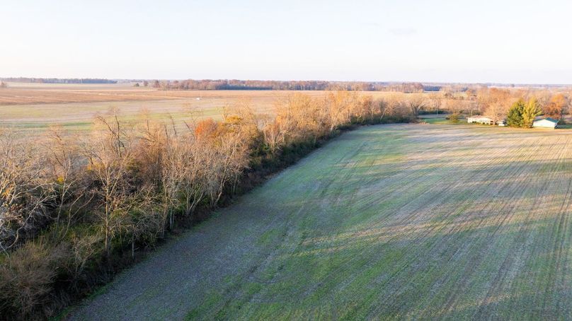 Copy of DJI_20241129074039_0009_D