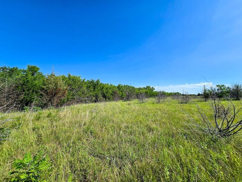 Copy of 20250729_105448