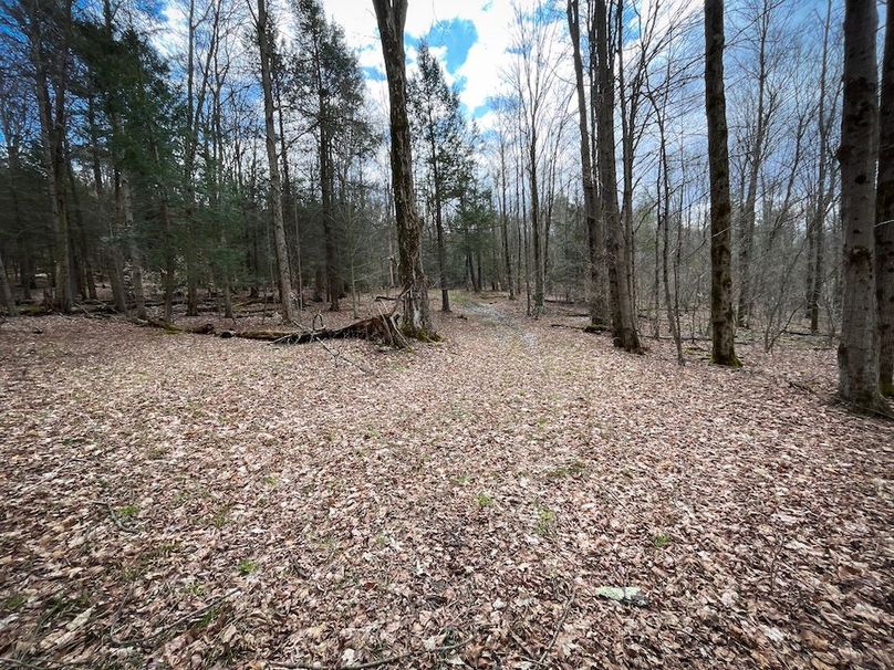 Tioga__NY_109.7_Burris_Photos_68