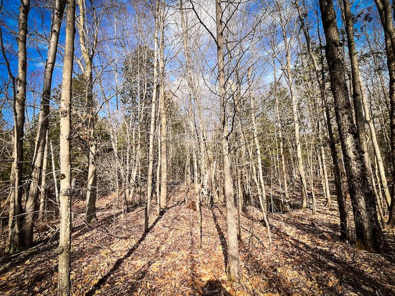 StLawrence_142.7_Bosse_Photos_64