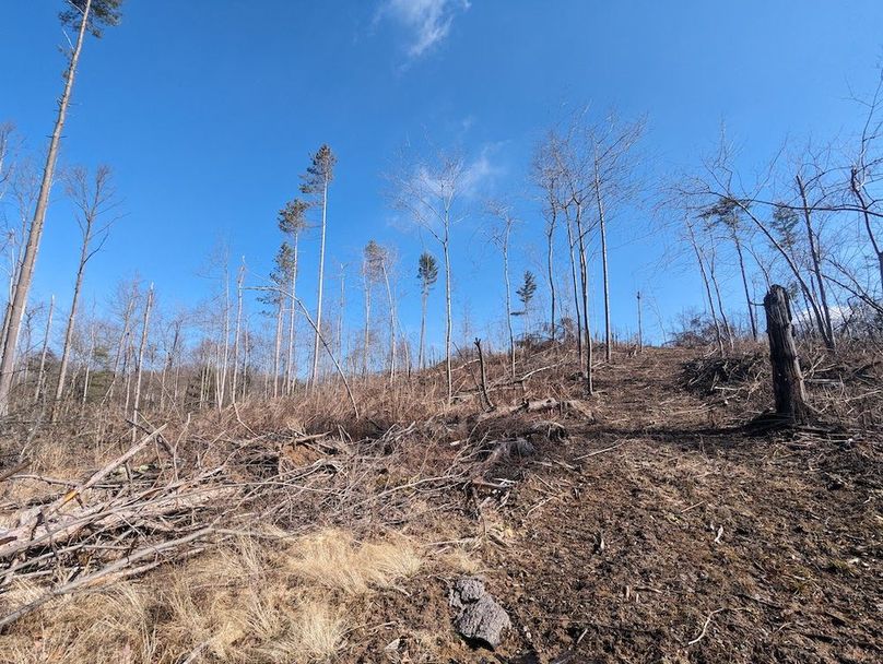 PXL_20240223_163428382