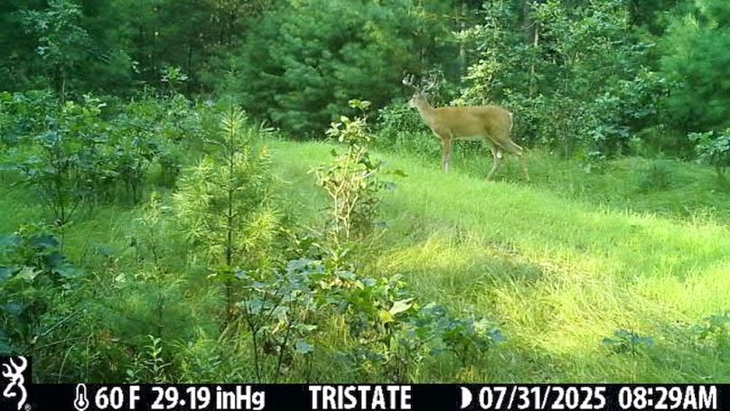 Adams 263.17, Hale -76