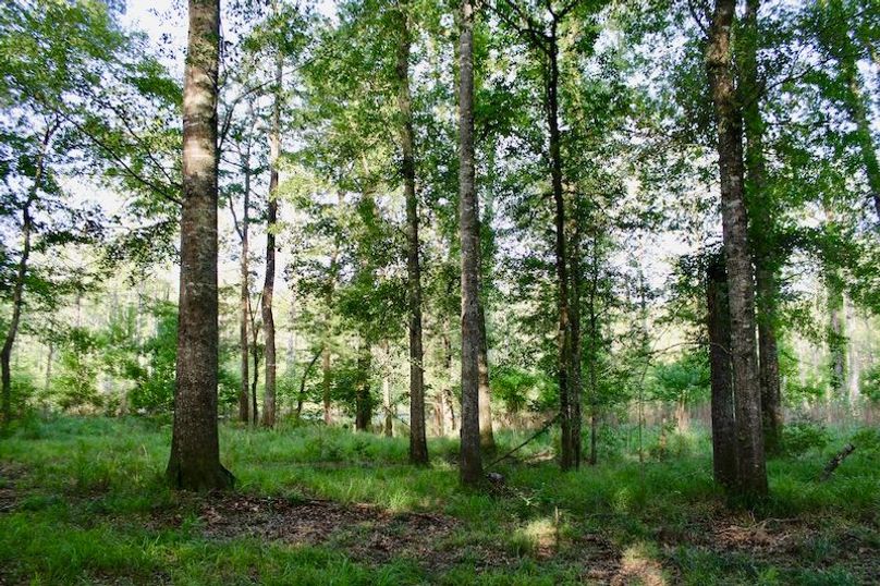 53F56F46-48E4-4C6D-BB49-223E6BC44DEE_1_201_a