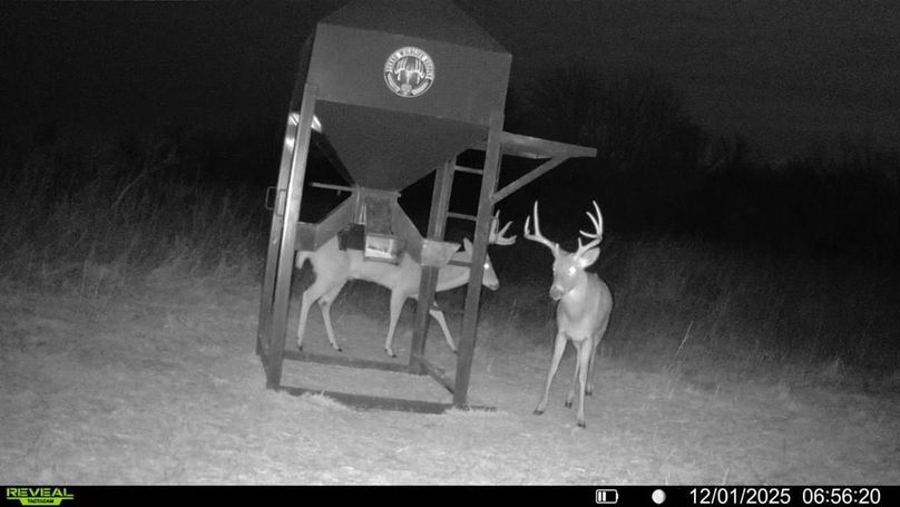 016578004041353-49-4-12012025065620-V-SYFW14639