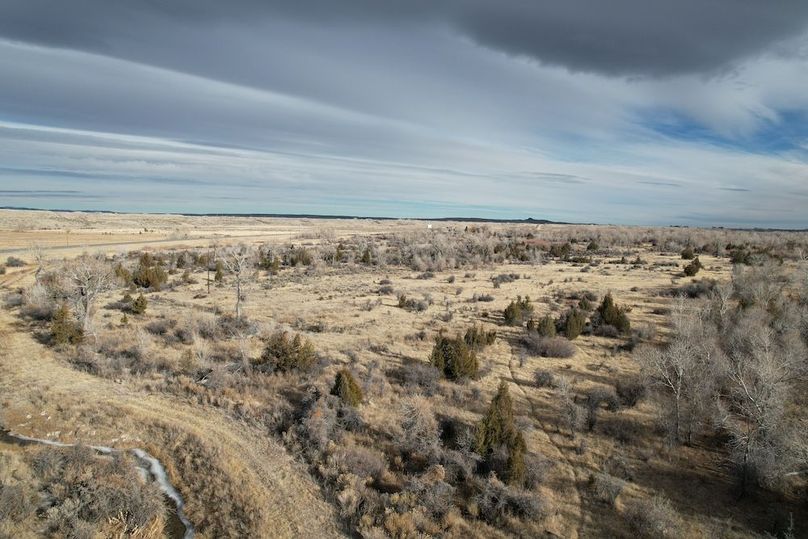DJI_0774
