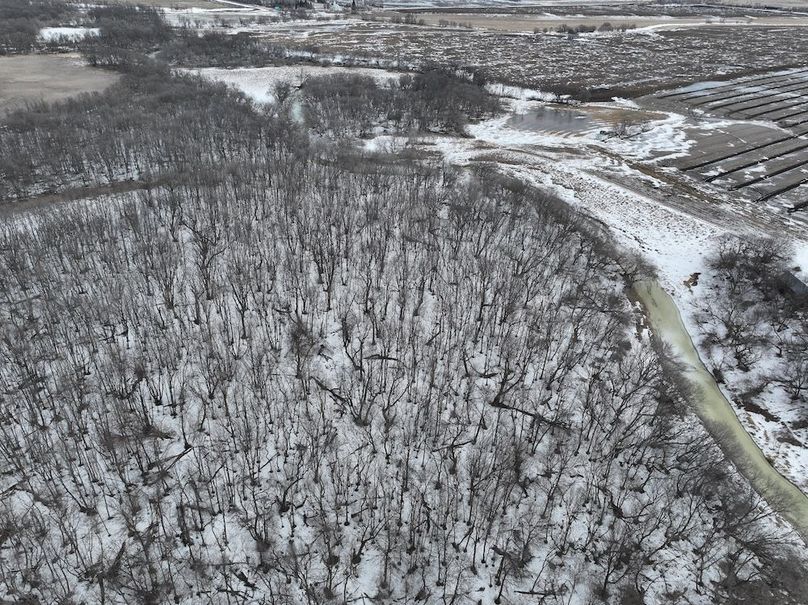 DJI_20260202161207_0046_D