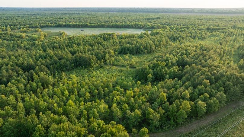 MadisonParLa1372-073