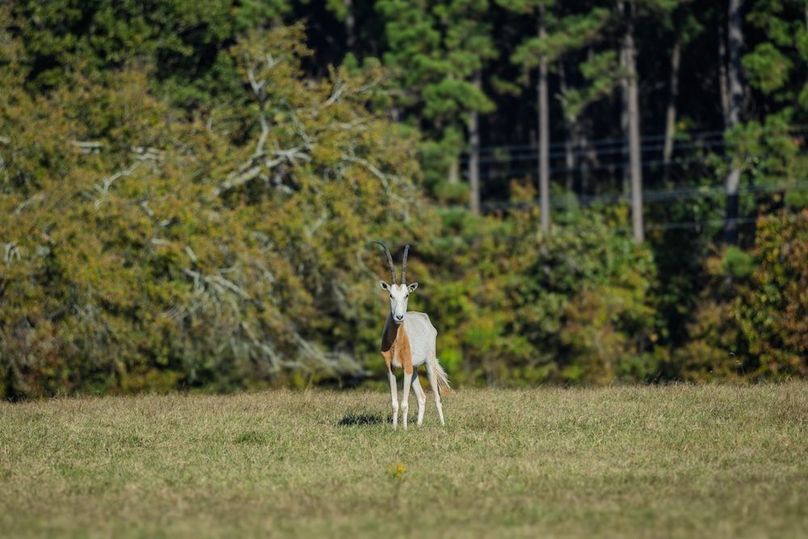 20 harrison 417ac pics-071