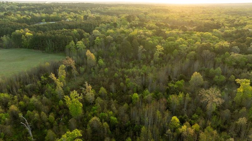 83 Marion TX 143 and 117 Featured_ProPhoto-113