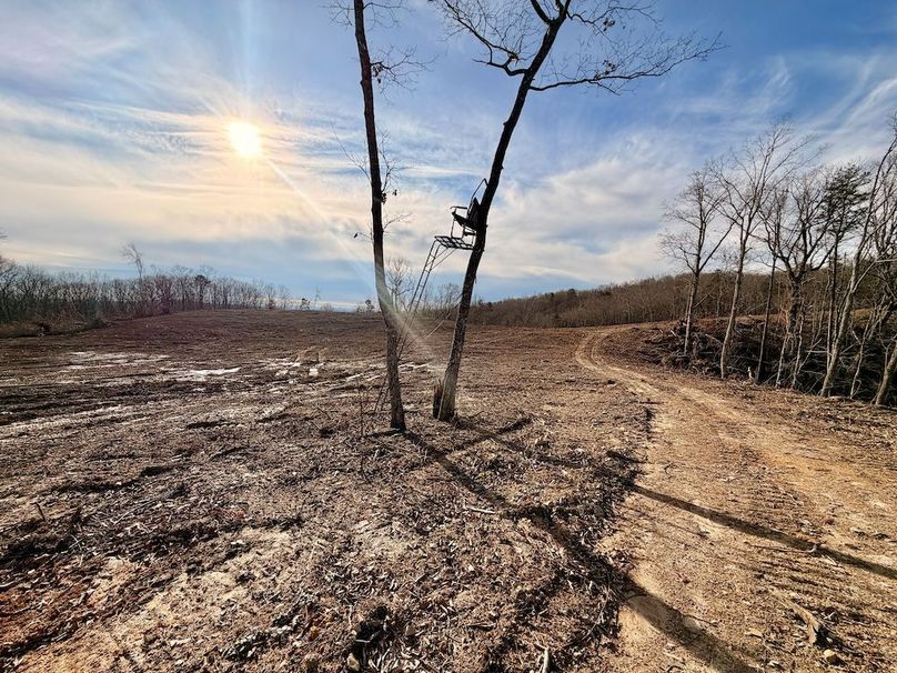 Roane Co TN 396 20251127_73