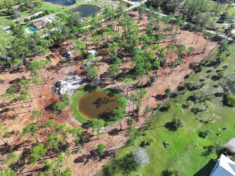 dji_fly_20231118_141224_0291_1700356594571_photo