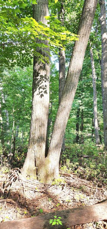 382331923_855721412451522_1885722004104199191_n