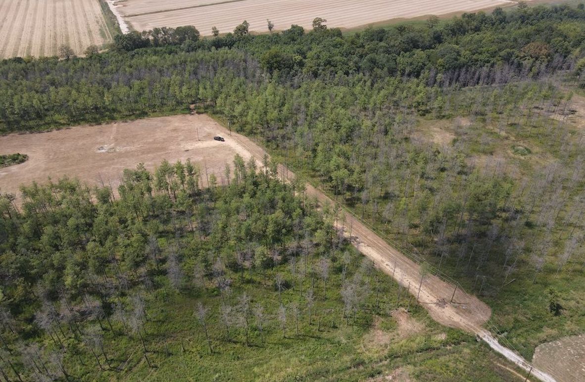 dji_fly_20240825_142152_268_1724613722761_photo