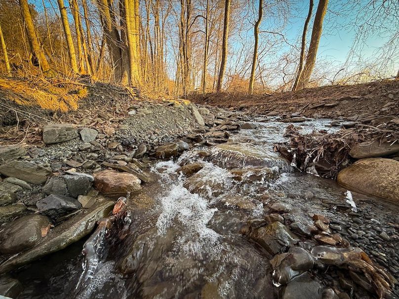 Cayuga 32 Stoyell Photos 39