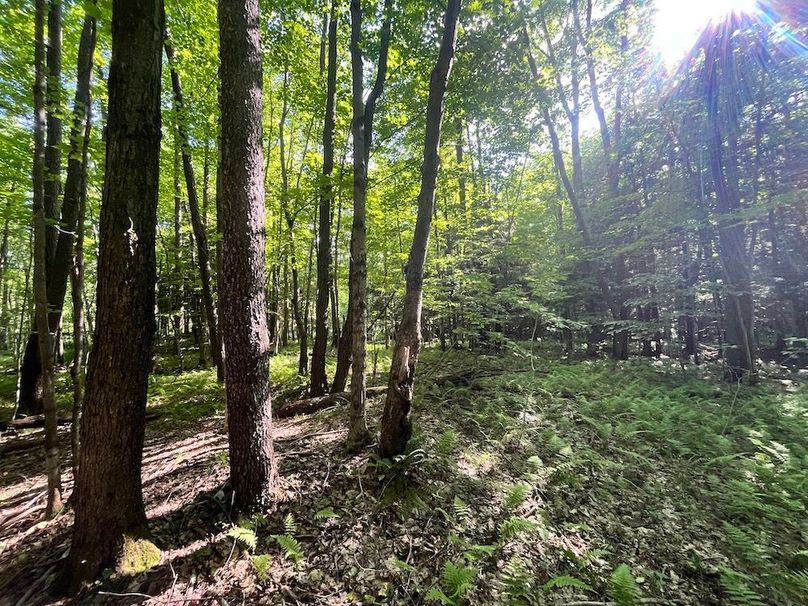 Jefferson_260.3_ Lobach_Photos_34