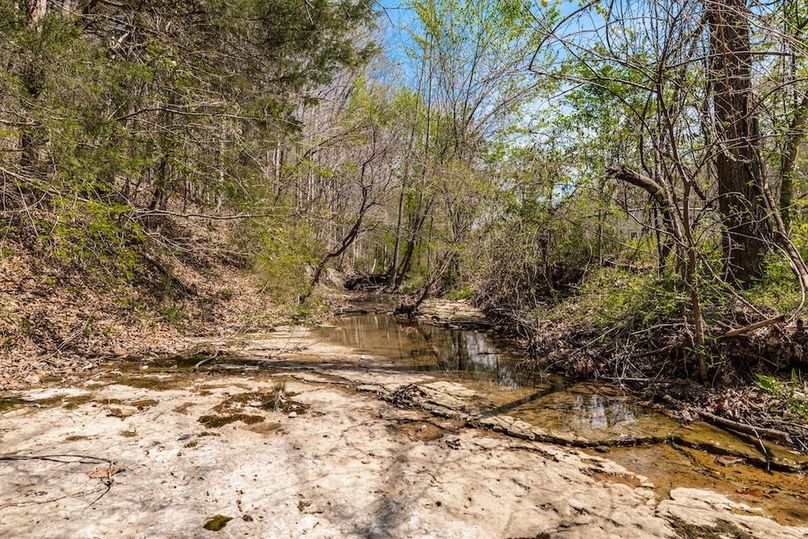 108-web-or-mls-0 Mound Creek Rd-78