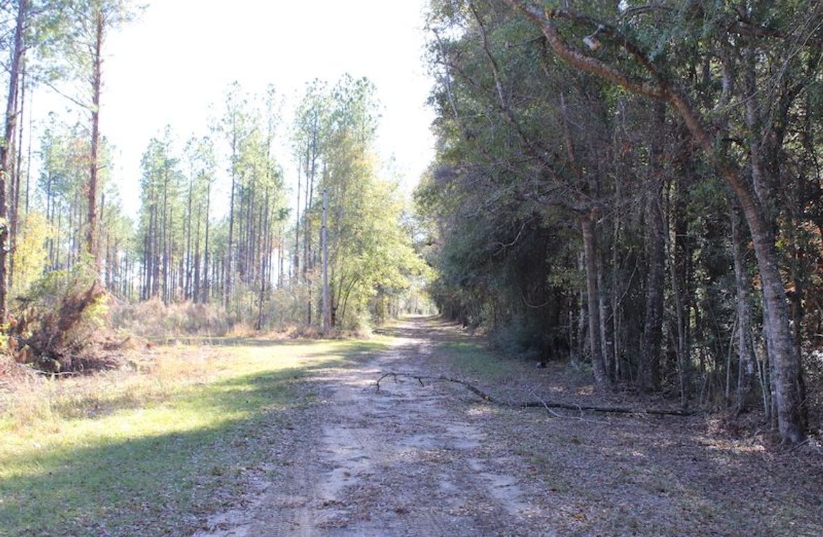 4E8A8856-E407-4285-99F4-78D3BDE33B06