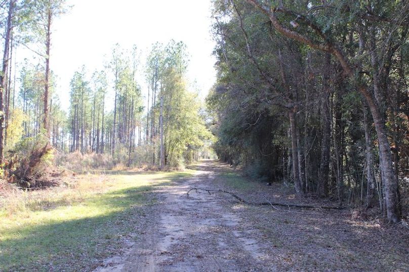 4E8A8856-E407-4285-99F4-78D3BDE33B06