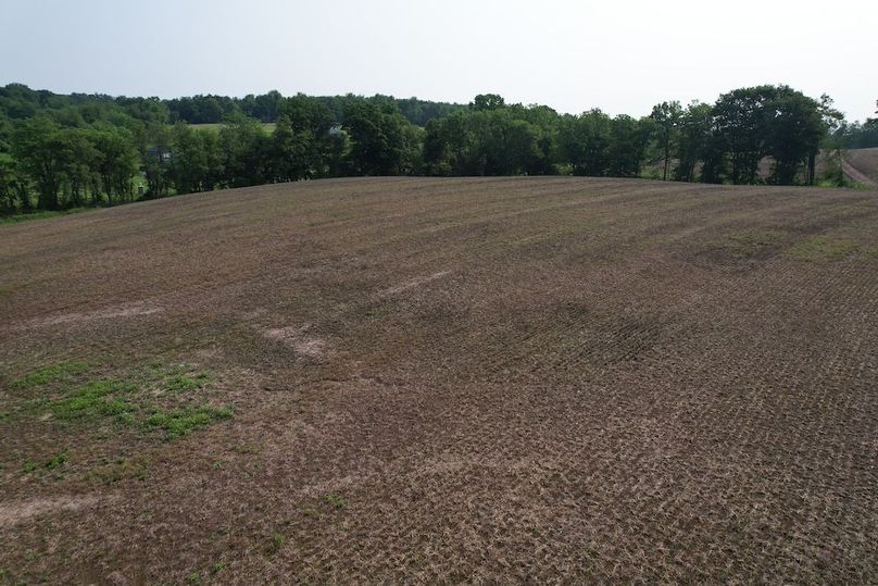dji_fly_20250611_091506_5_1749647900061_photo