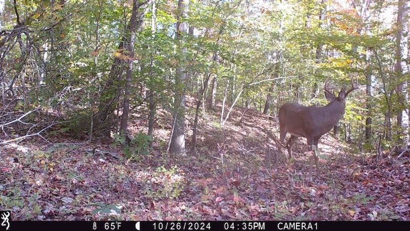 trail cam35