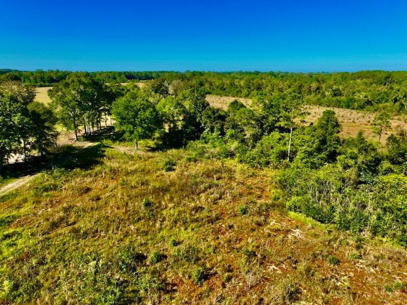 B724A8E4-F5F2-4774-98FE-7753D148D996_1_105_c