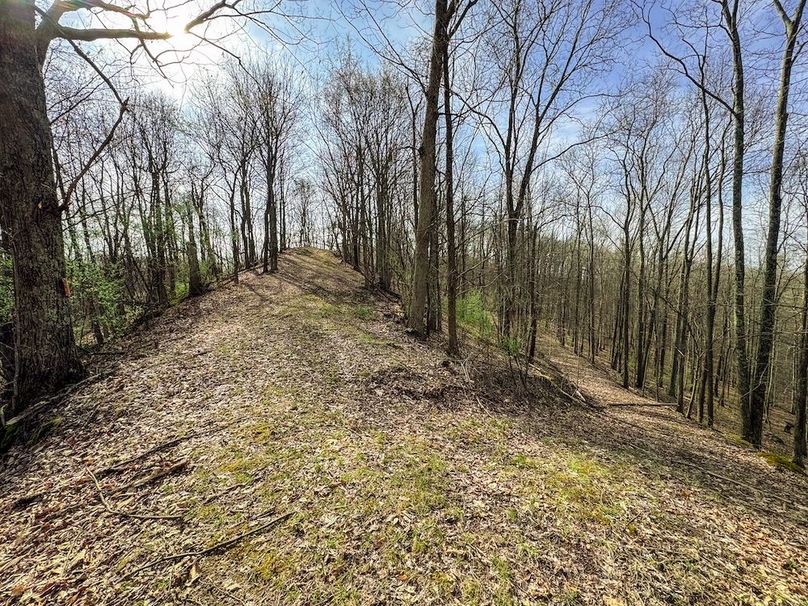 Ritchie, WV 206.08 AC Curriden-30