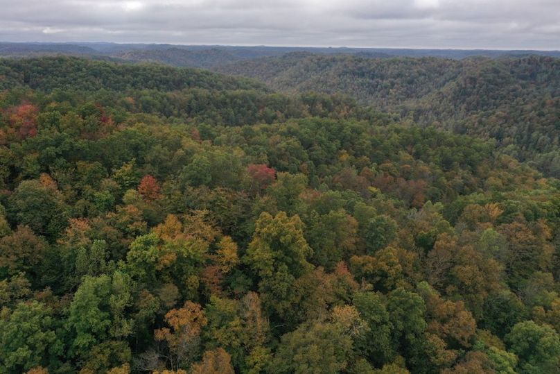 013 aerial view from the. north tract looking south down the valley