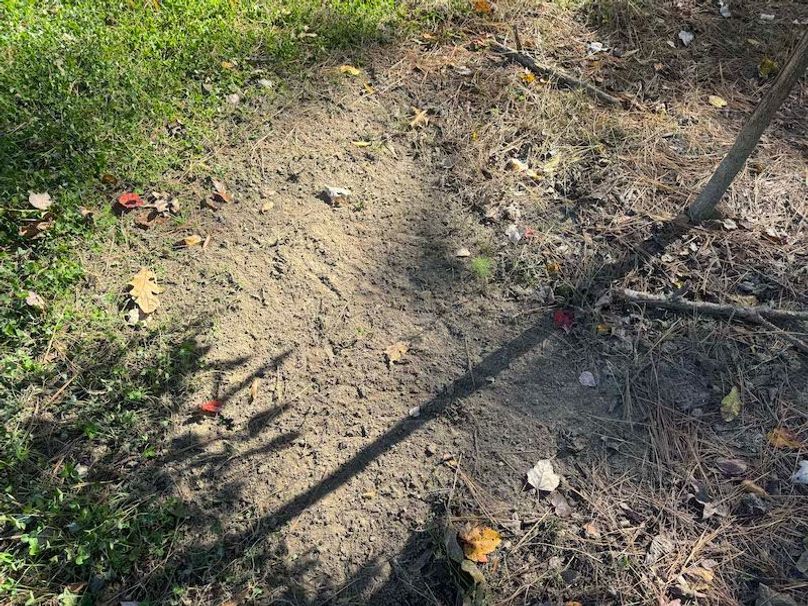 jeff 5020251111_0318