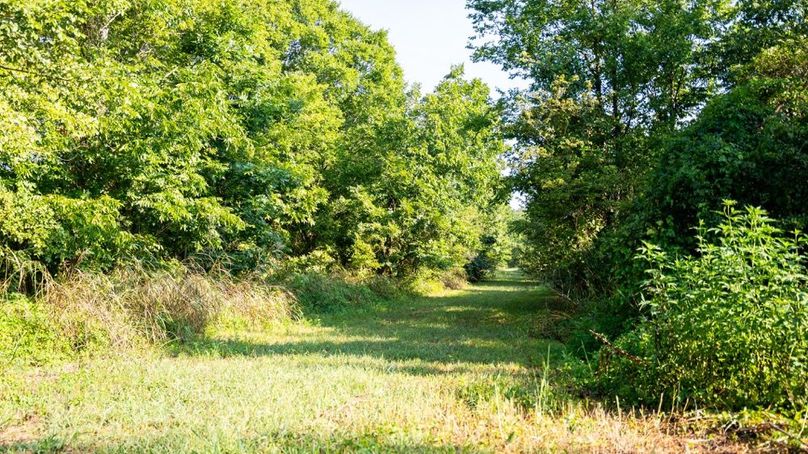 MadisonParLa1372-138