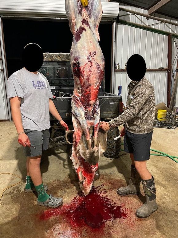 6DD5A457-BA77-474A-884D-C32469165331