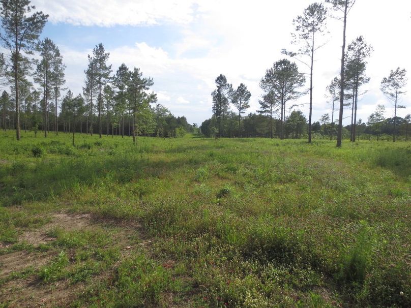 16952080-EE18-4EC5-87BC-F3CEFC08907A_1_105_c