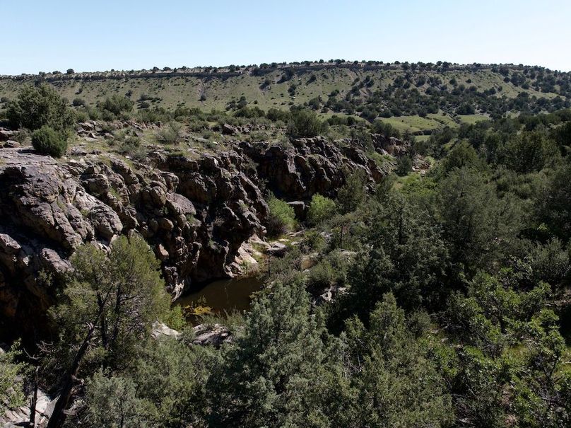 DJI_20250619093340_0011_D