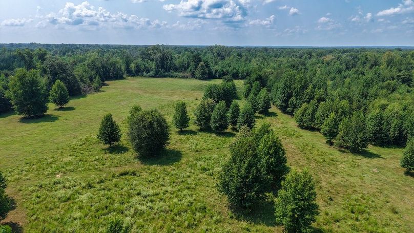 18 Jefferson 117ac - bethard-48