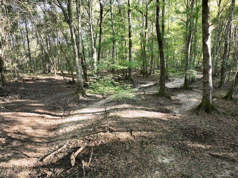 dji_fly_20251013_094740_272_1760364565596_photo