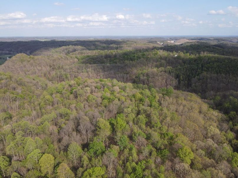 DJI_0900_W