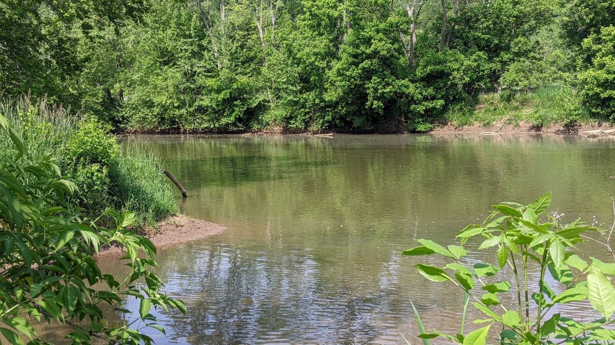 River Frontage, Road Frontage, Creek Frontage And Hill Top Views Whitetail Properties