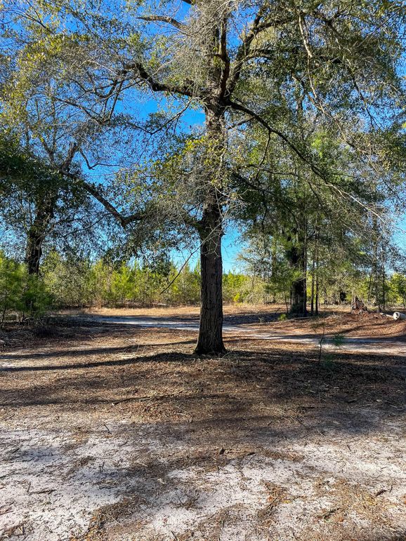 Pender NC 382 - Edits-67