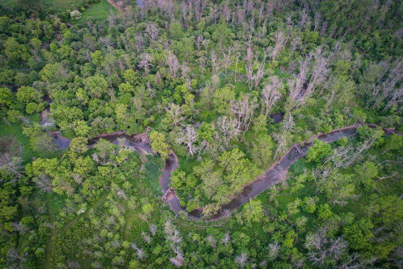 Ontatio_73.3_Green Photo 10