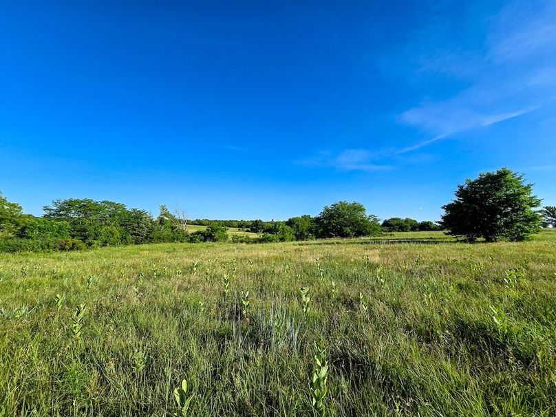 Copy of 20250729_082351