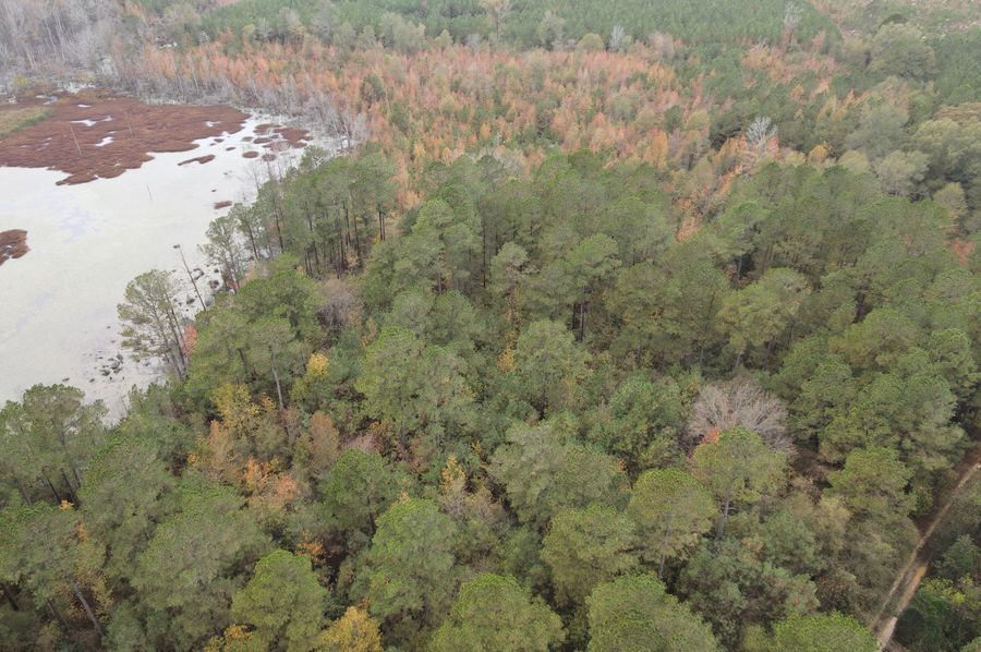 DJI_0996