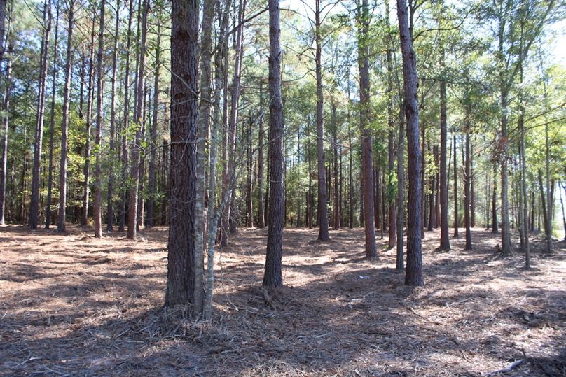 C16DBF9A-4222-4226-BC4C-59B7B55A5114_1_105_c