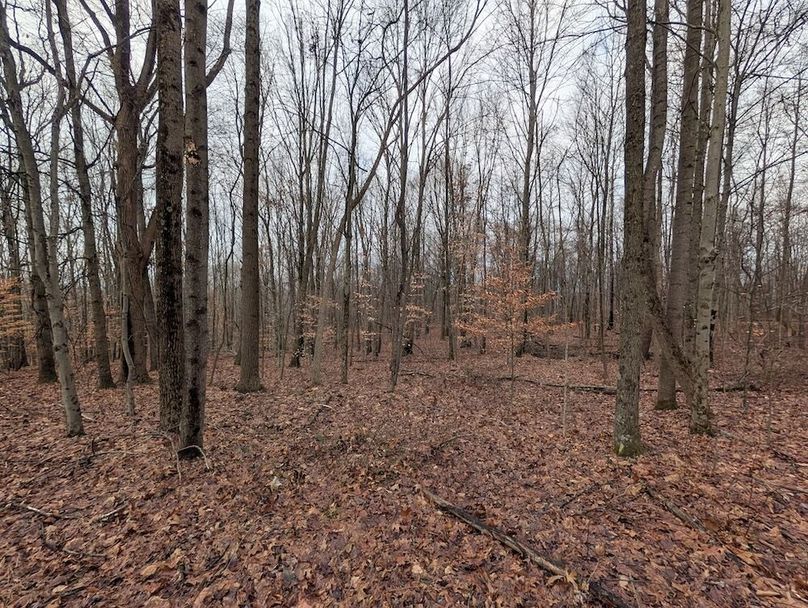 PXL_20260107_180502391