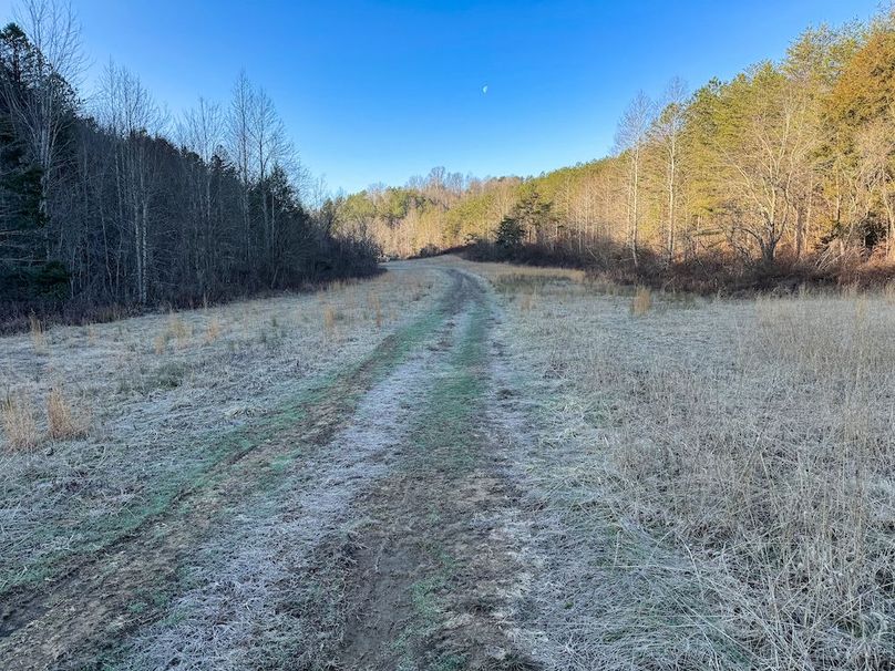 039 nice dirt road leading to the cabin