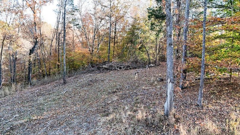 DJI_20251111154427_0039_D