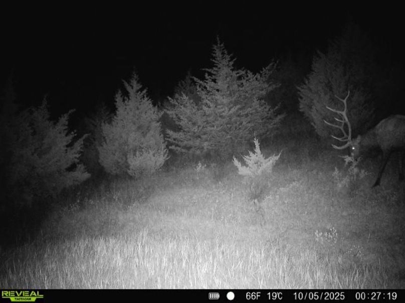 Copy of 860516067863955-100-2-10052025002718-W1008153